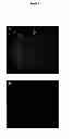 Fig. 02 - MODULATION OF GRANULOSA CELL APOPTOSIS