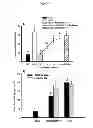 Fig. 09 - MODULATION OF GRANULOSA CELL APOPTOSIS