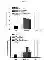 Fig. 10 - MODULATION OF GRANULOSA CELL APOPTOSIS