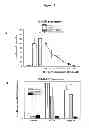 Fig. 17 - MODULATION OF GRANULOSA CELL APOPTOSIS