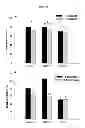 Fig. 27 - MODULATION OF GRANULOSA CELL APOPTOSIS