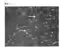 Fig. 12 - METHODS FOR TRANSFECTING CELLS WITH NUCLEIC ACIDS