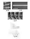 Fig. 06 - Methods and systems for scaffolds comprising nanoelectronic components