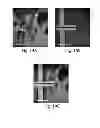 Fig. 23 - Methods and systems for scaffolds comprising nanoelectronic components
