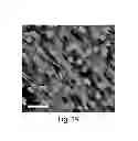 Fig. 32 - Methods and systems for scaffolds comprising nanoelectronic components