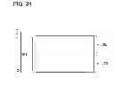 Fig. 35 - Method for manufacturing semiconductor device