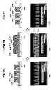 Fig. 09 - PLASMA ETCHING METHOD AND PLASMA ETCHING APPARATUS