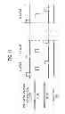 Fig. 16 - Method of manufacturing semiconductor device