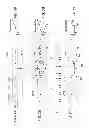 Fig. 04 - PULSE TRAIN ANNEALING METHOD AND APPARATUS