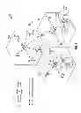 Fig. 02 - UE-assisted network optimization methods