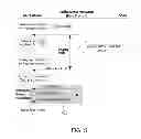 Fig. 06 - Machine-to-machine (M2M) communications using short message services (SMS)