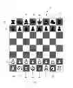 Fig. 02 - CHESS OF THE LIVING DEAD