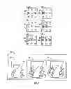 Fig. 08 - CONFIGURABLE CELEBRATION FOR A GAMING TERMINAL, SYSTEM AND METHOD