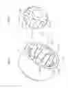 Fig. 08 - Fixed constant velocity universal joint