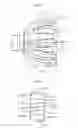 Fig. 14 - Fixed constant velocity universal joint