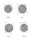 Fig. 04 - GOLF BALLS COMPRISING HIGHLY-NEUTRALIZED ACID POLYMERS