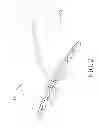 Fig. 03 - SEAMLESS LAMINATED BASKETBALL