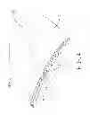 Fig. 05 - SEAMLESS LAMINATED BASKETBALL