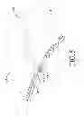 Fig. 06 - SEAMLESS LAMINATED BASKETBALL