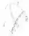 Fig. 08 - SEAMLESS LAMINATED BASKETBALL