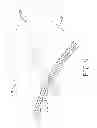 Fig. 10 - SEAMLESS LAMINATED BASKETBALL