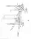 Fig. 02 - WEIGHT TRAINING SLED