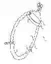 Fig. 01 - EXERCISE APPARATUS