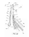 Fig. 14 - EXERCISE APPARATUS