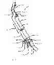 Fig. 24 - EXERCISE APPARATUS
