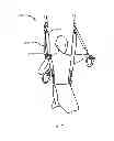 Fig. 32 - EXERCISE APPARATUS