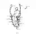 Fig. 34 - EXERCISE APPARATUS