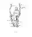 Fig. 35 - EXERCISE APPARATUS