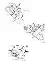 Fig. 42 - EXERCISE APPARATUS