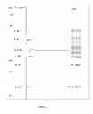 Fig. 03 - CLASS OF ORGANIC COMPOUNDS CONTAINING HETEROATOM AND ITS APPLICATIONS IN PREPARING SINGLE-SITE ZIEGLER-NATTA CATALYST
