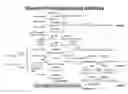 Fig. 01 - USE OF MICROBIAL BASED SOIL ADDITIVE TO MODULATE THE PHENYLPROPANOID PATHWAY IN PLANTS