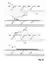 Fig. 28 - Self-Assembled Single Molecule Arrays and Uses Thereof