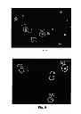 Fig. 30 - Self-Assembled Single Molecule Arrays and Uses Thereof