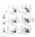 Fig. 06 - IMAGING CHROMOSOME STRUCTURES BY SUPER-RESOLUTION FISH WITH SINGLE-DYE LABELED OLIGONUCLEOTIDES