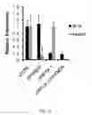 Fig. 32 - Diagnostic, prognostic and therapeutic uses of long non-coding RNAs for cancer and regenerative medicine