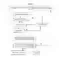 Fig. 05 - Rapid Genotyping Analysis and the Method Thereof