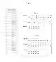 Fig. 18 - Rapid Genotyping Analysis and the Method Thereof