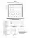 Fig. 19 - Rapid Genotyping Analysis and the Method Thereof