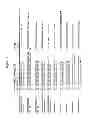 Fig. 25 - Rapid Genotyping Analysis and the Method Thereof