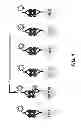 Fig. 02 - Multiplex immunoassays for hemoglobin, hemoglobin variants, and glycated forms