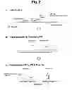 Fig. 04 - Detection of target nucleic acid sequences by PO cleavage and hybridization