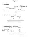 Fig. 05 - Detection of target nucleic acid sequences by PO cleavage and hybridization