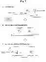 Fig. 09 - Detection of target nucleic acid sequences by PO cleavage and hybridization