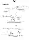Fig. 10 - Detection of target nucleic acid sequences by PO cleavage and hybridization