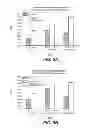 Fig. 06 - DETERGENT COMPOSITIONS CONTAINING BACILLUS SP. MANNANASE AND METHODS OF USE THEREOF