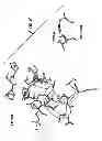 Fig. 04 - Subtilase Vairants